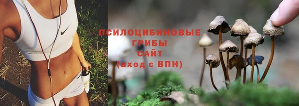 PSILOCYBIN Инсар