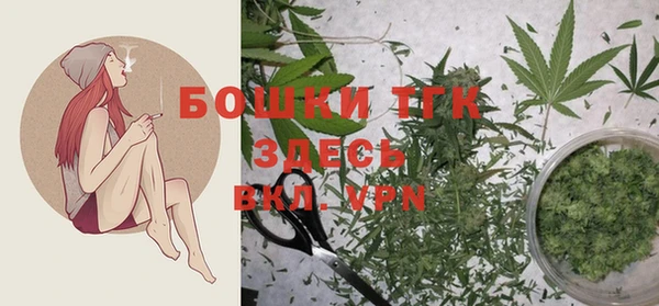эйфоретик Каменка