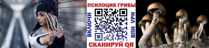 Галлюциногенные грибы Psilocybe  наркошоп  Балаково 