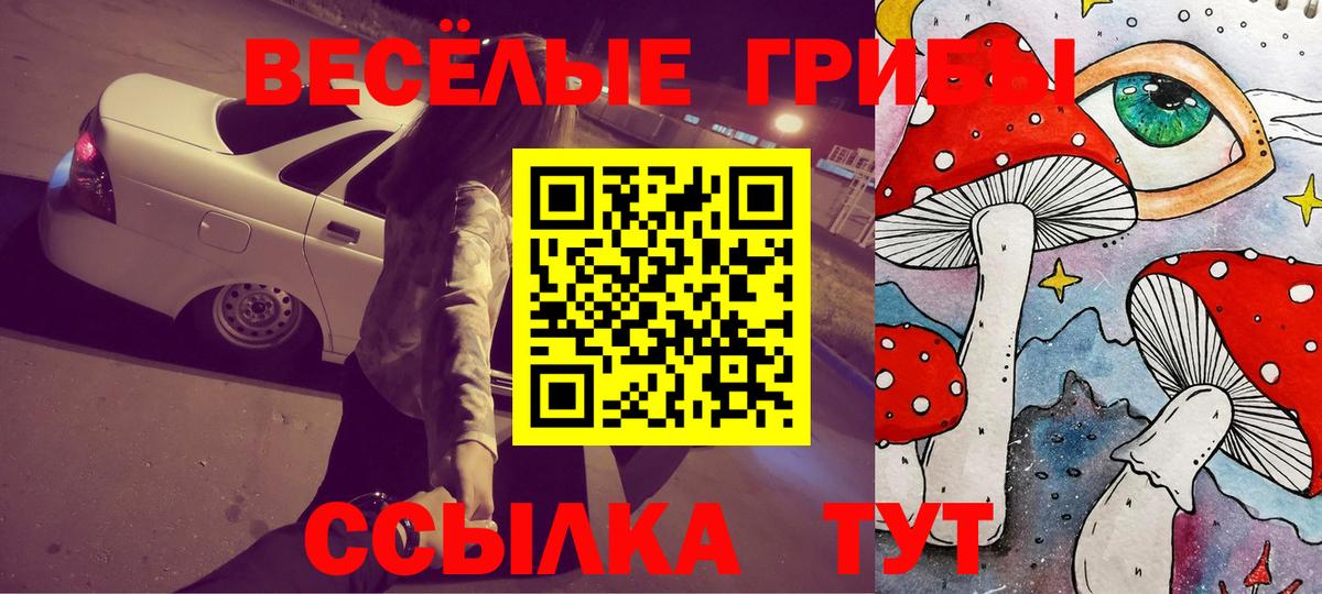 Псилоцибиновые грибы ЛСД Балаково